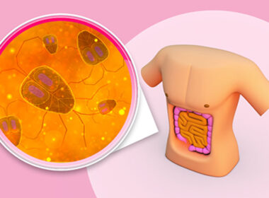 Human Microbiome in Health and Disease