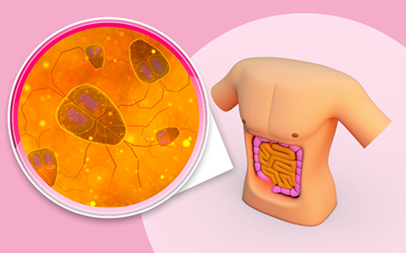 Human Microbiome in Health and Disease