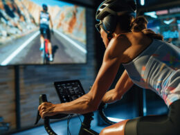 Training and Lifestyle of Professional Esports Athletes