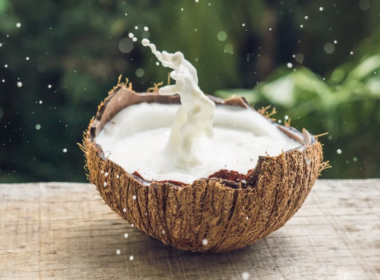 Creamy Delights: 10 Delicious Recipes Using Coconut Milk