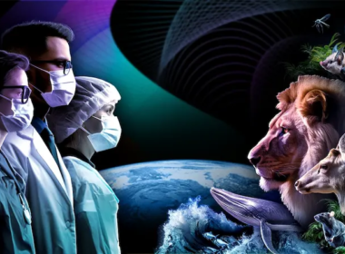 Antibiotic Resistance