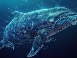 Ocean Conservation Tech