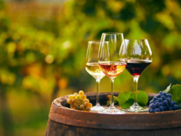 Uncorking History: The Discovery of the Oldest Wine Ever Found