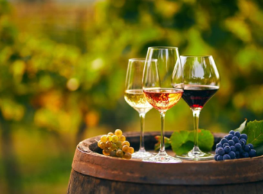 Uncorking History: The Discovery of the Oldest Wine Ever Found