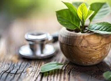 comeback of traditional healing