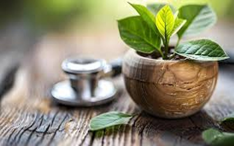 comeback of traditional healing