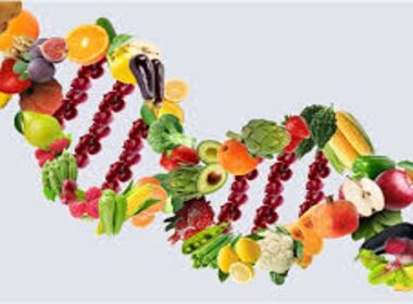 DNA and Diet