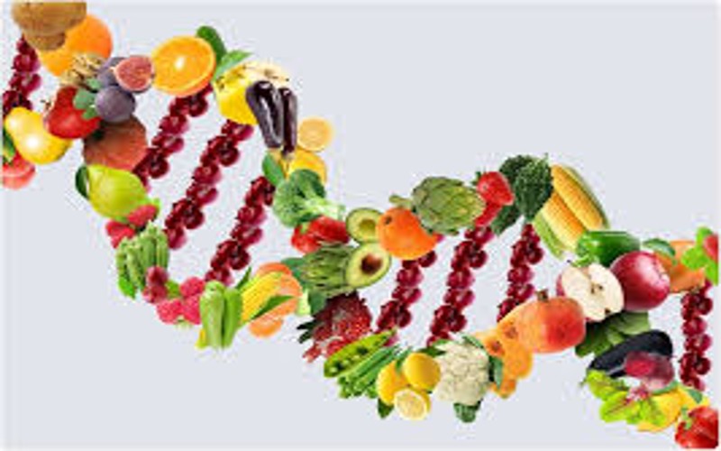 DNA and Diet