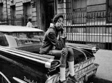 Top 10 Must-Watch Documentaries