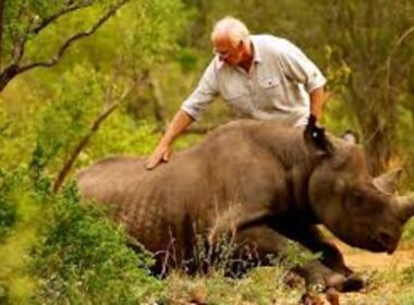 Tips for Supporting Wildlife Conservation