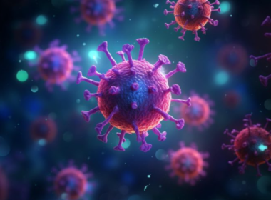 HMPV Virus (Human Metapneumovirus): The Emerging Threat in India