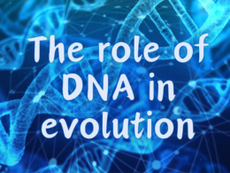 The Role of DNA in Evolution