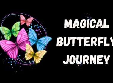 Enchanting World of Butterflies