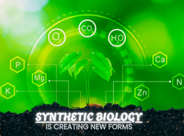 Synthetic Biology