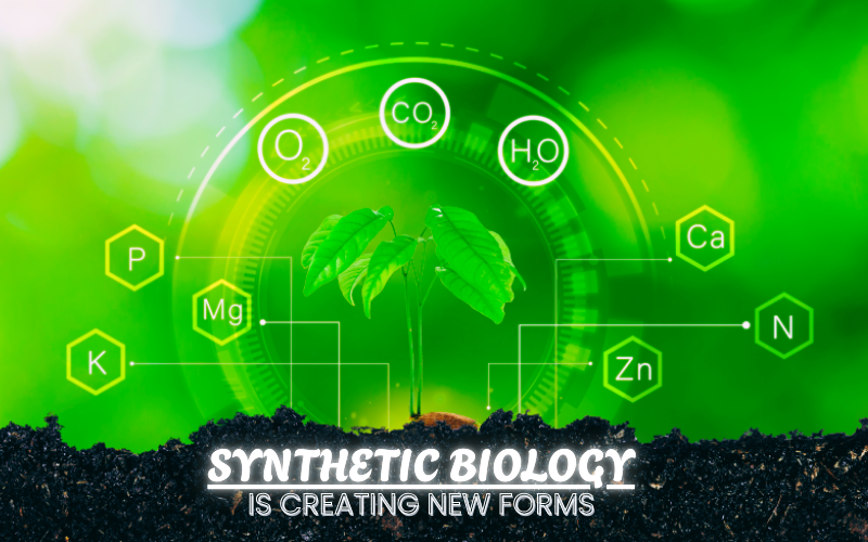 Synthetic Biology