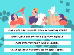 How to Choose the Right Pet