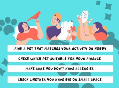How to Choose the Right Pet