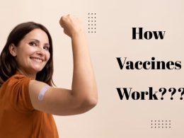 How Vaccines Work
