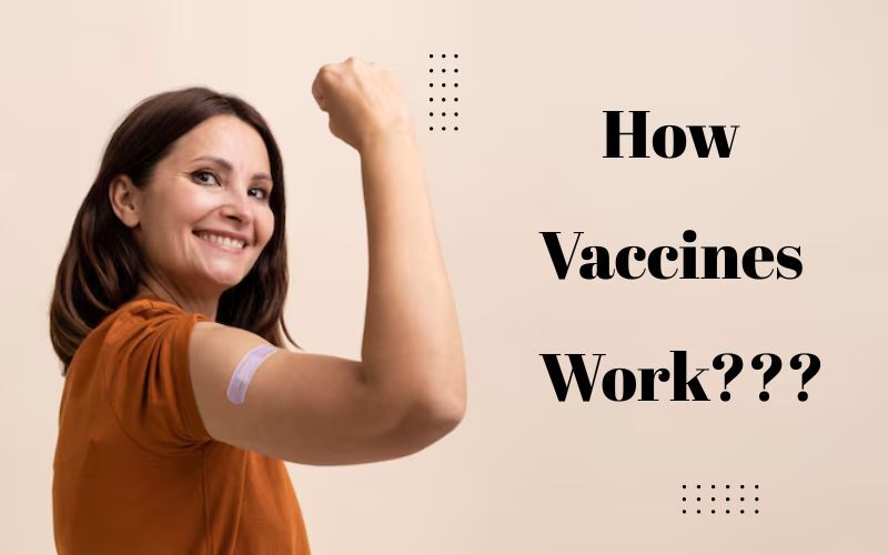 How Vaccines Work