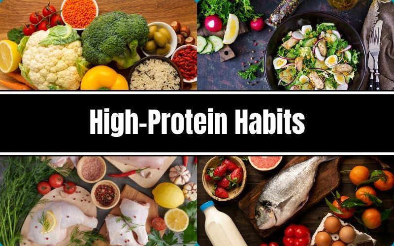 Everyday Foods with High Protein