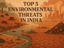 Top 5 Environmental Threats in India