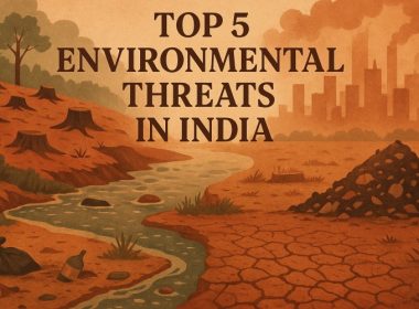 Top 5 Environmental Threats in India