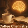 Coffee Chemistry